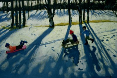 Boys Sledging, Allestree Park, Derby af Andrew Macara